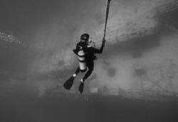 Diver ascending from USS Spiegel Grove. by David Heidemann 